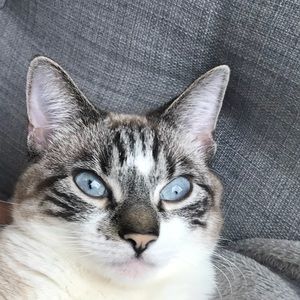 Meet your Posher, Christian